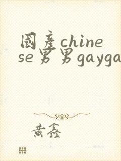 国产chinese男男gaygay视频网站