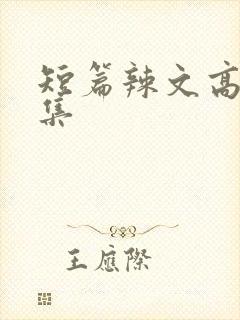 短篇辣文高h合集