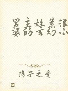 男主姓叶很多老婆的玄幻小说封面