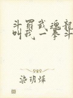 斗罗武魂龙拳请叫我一拳斗罗免费阅读