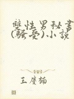 双性男秘书巨乳(骚受)小说