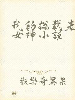 我的总裁老婆是女神小说封面