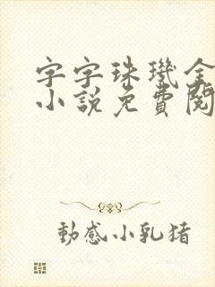 字字珠玑金银花小说免费阅读封面