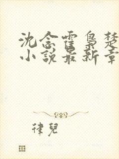 沈念霍枭楚莹莹小说最新章节更新免费阅读