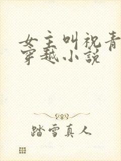 女主叫祝青瑜的穿越小说封面