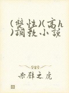 (双性)(高h)调教小说