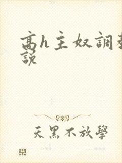 高h主奴调教小说