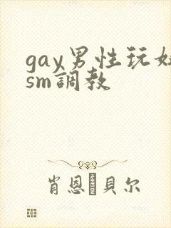 gay男性玩奴sm调教