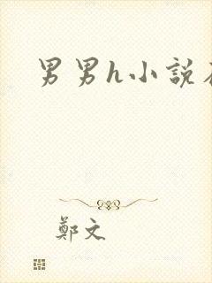 男男h小说在线