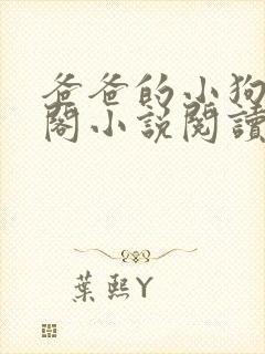 爸爸的小狗笔趣阁小说阅读封面