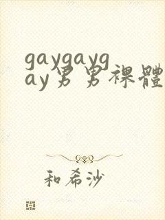 gaygaygay男男裸体封面