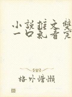 小说推文双女主一口气看完