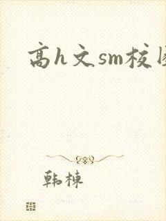 高h文sm校园封面