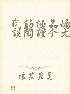 我的极品娇妻小说阅读全文免费