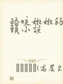 舔咬嫩嫩的小乳头小说