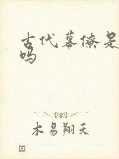 古代幕僚是男宠吗封面