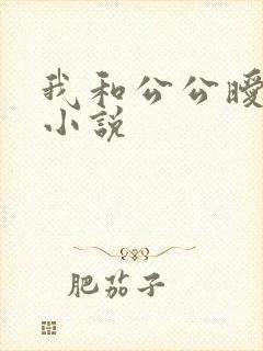 我和公公暧昧的小说