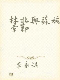 林北与苏婉最新章节封面