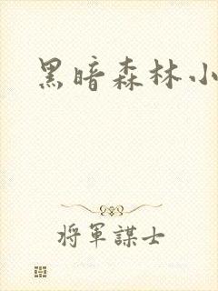 黑暗森林小说