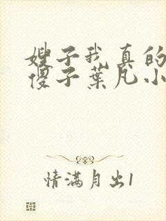 嫂子我真的不是傻子叶凡小说 原名封面