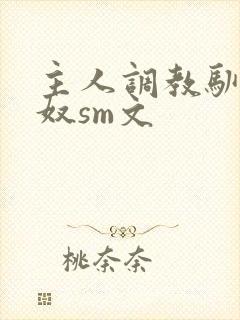主人调教驯化贱奴sm文