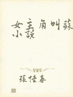 女主角叫苏棠的小说