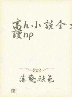 高h小说全文阅读np