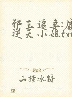 邪王追妻:废材逆天小姐txt