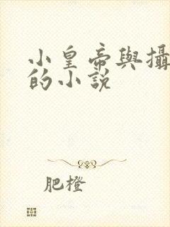 小皇帝与摄政王的小说