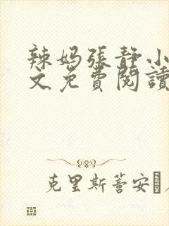 辣妈张静小说全文免费阅读最新章节