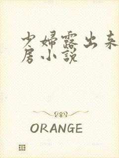 少妇露出来大乳房小说封面