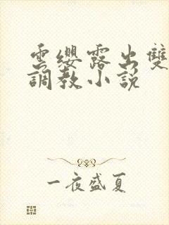 云缨露出双乳求调教小说封面