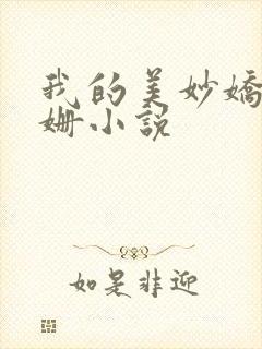 我的美妙娇妻姗姗小说