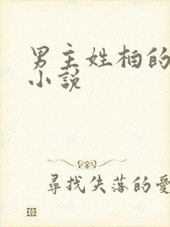 男主姓柏的总裁小说