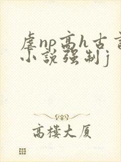 虐np高h古言小说强制j
