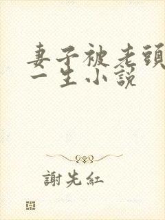 妻子被老头毁了一生小说