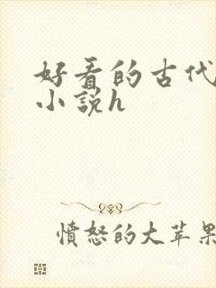 好看的古代言情小说h封面