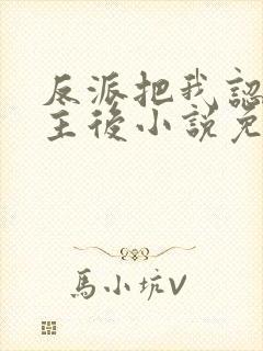 反派把我认成女主后小说免费阅读封面