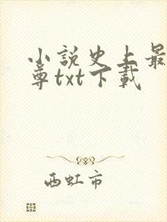 小说史上最狂至尊txt下载