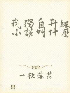 我独自升级原著小说叫什么