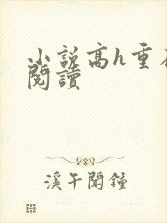 小说高h重在线阅读封面