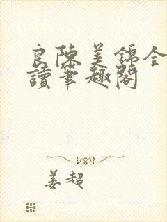 良陈美锦全文阅读笔趣阁