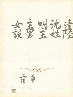 女主叫沈清的小说男主姓陆