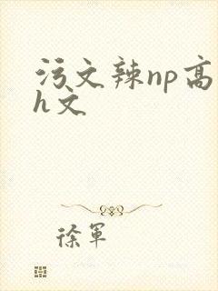 污文辣np高辣h文封面