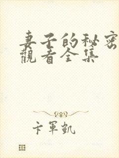 妻子的秘密免费观看全集