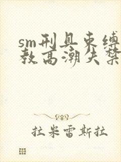 sm刑具束缚调教高潮失禁h文封面