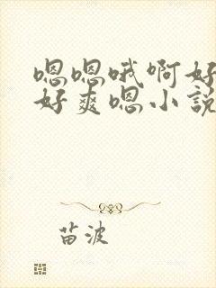 嗯嗯哦啊好大哦好爽嗯小说封面