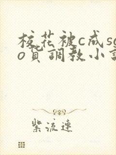 校花被c成sao货调教小说