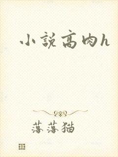小说高肉h