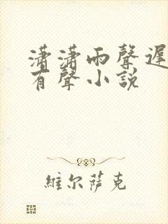 潇潇雨声迟小说有声小说